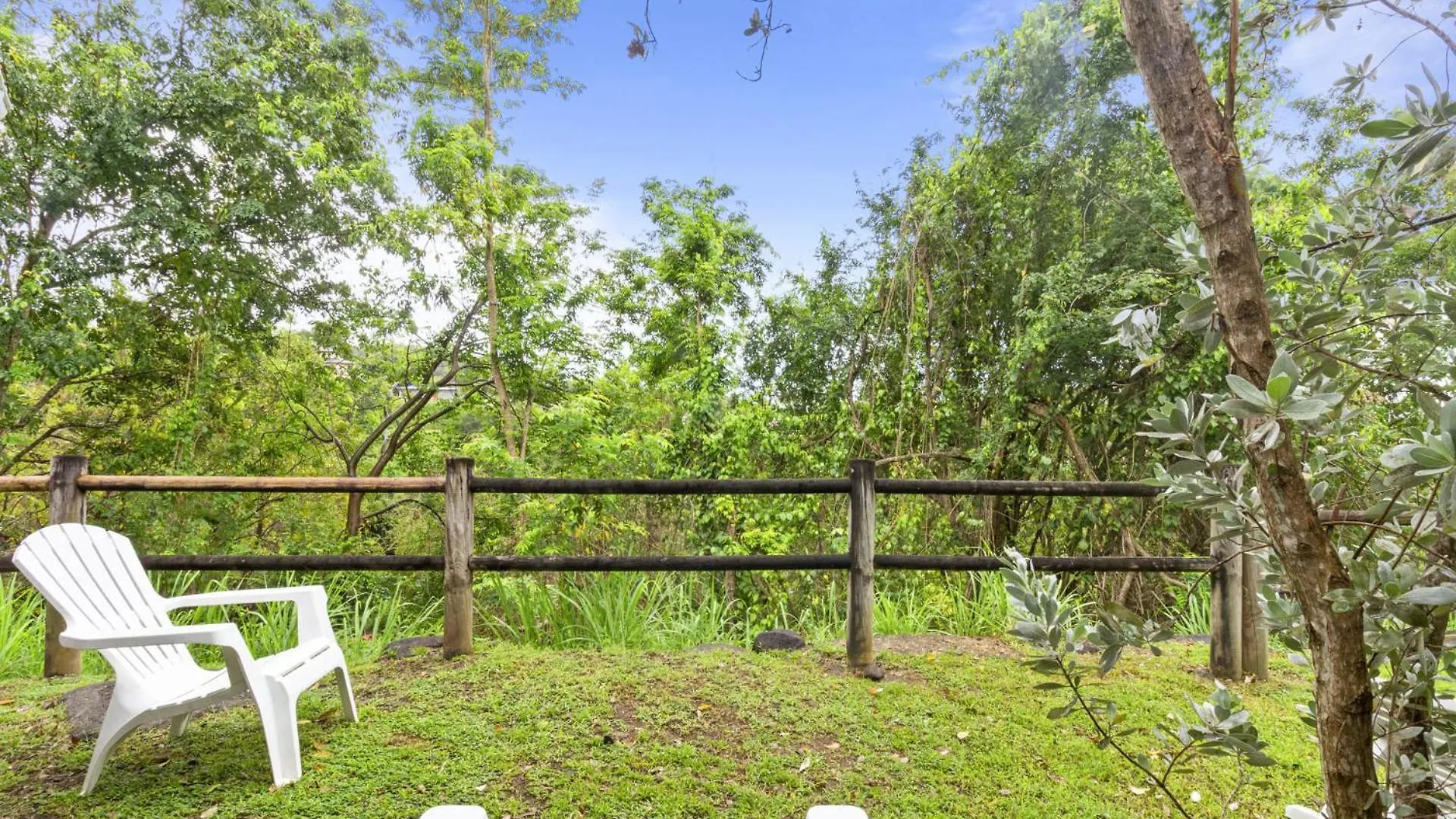 Tatil Evi Chat Bleu Bouillante Guadeloupe